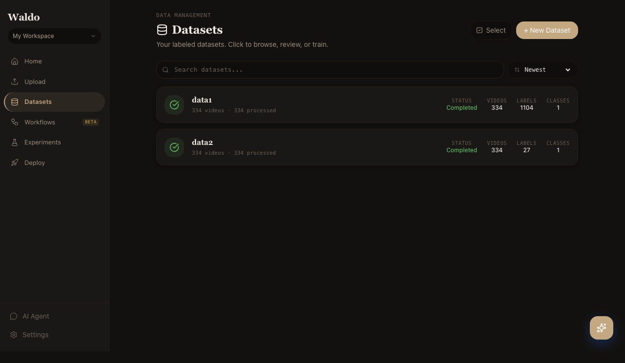 Datasets
